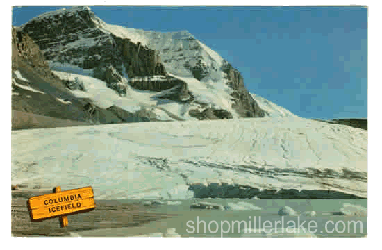 The Columbia Icefields, Alberta, Canada - Lake Louise, Alberta (AB)
