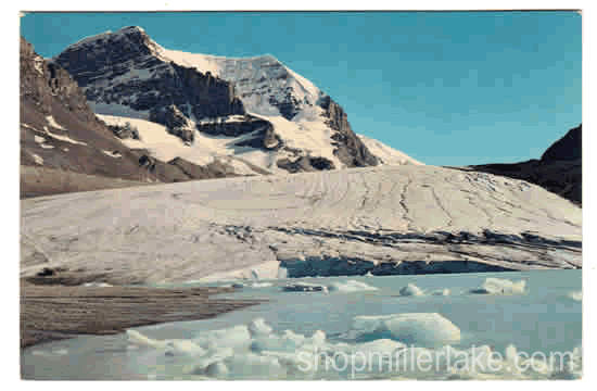 The Columbia Icefields, Alberta, Canada - Banff, Alberta (AB)