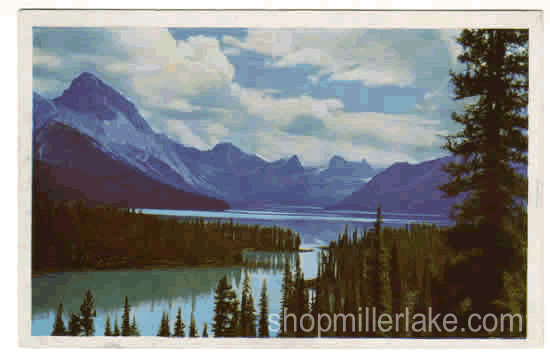 Maligne Lake Vista, Jasper, Alberta, Canada - Jasper, Alberta (AB)