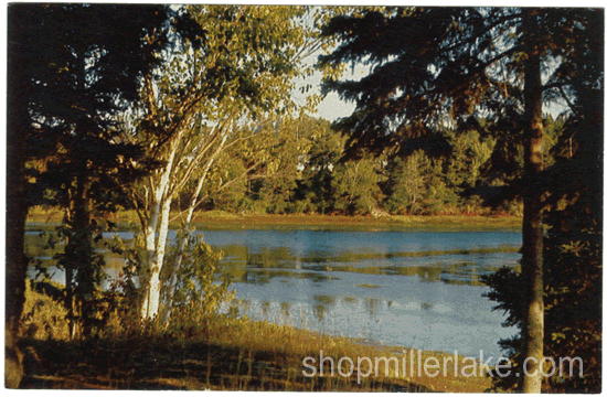 Peaceful Waters, PEI, Canada - Charlottetown, Prince Edward Island (PE)