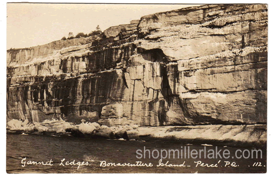 postcard-front